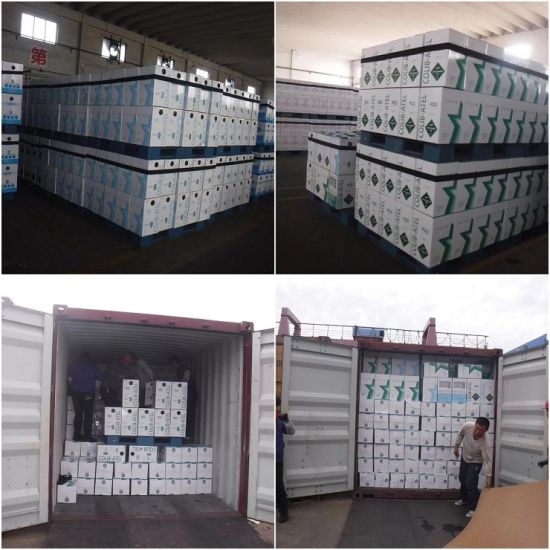 Venta de fábrica de 16 años de gas refrigerante Freon R22 en 13,6 kg o 22,6 kg de cilindro